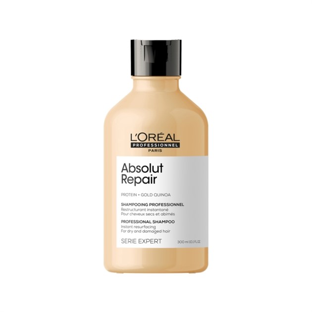 Absolut Repair